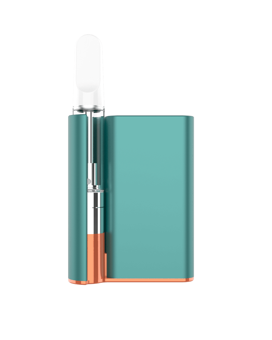 CCELL PALM